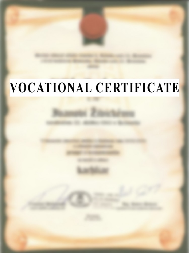 Translation of a VOCATIONAL CERTIFICATE - the price is quoted per standard page = 270 words